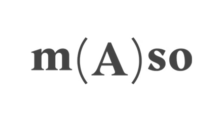 amaso partner logo